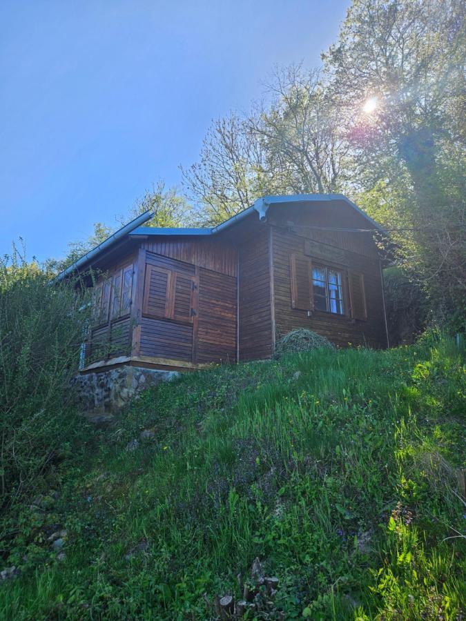 Elbblick Vila Storkau Exterior foto